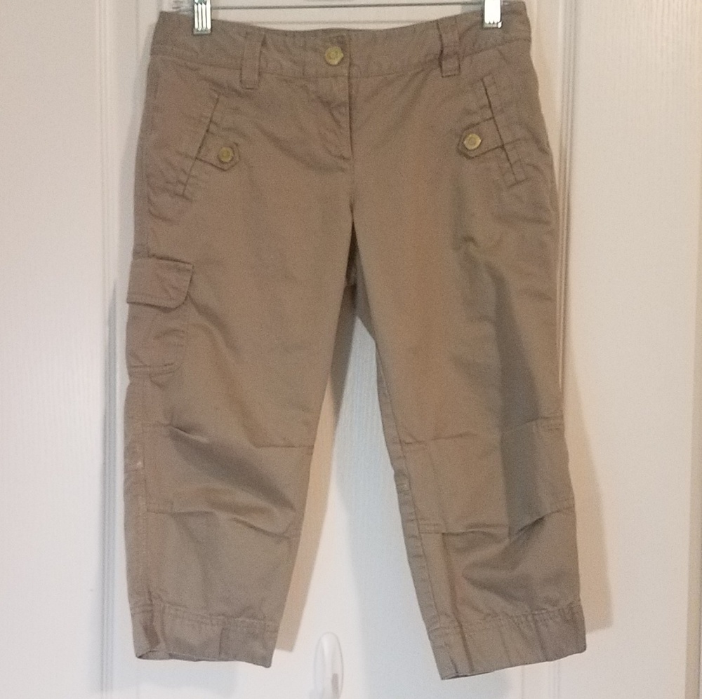 Ann Taylor Capris